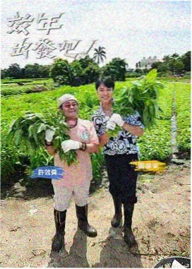 周末现场综艺封面